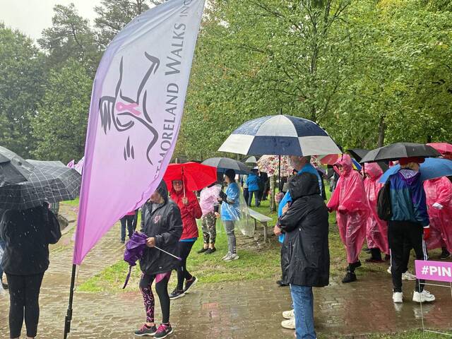 5483199_web1_gtr-pinkwalk2-100322