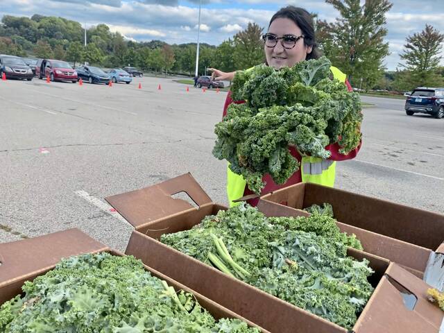 Drive-through food distribution open to Alle-Kiski Valley residents; event will remain at Pittsburgh Mills through at least December