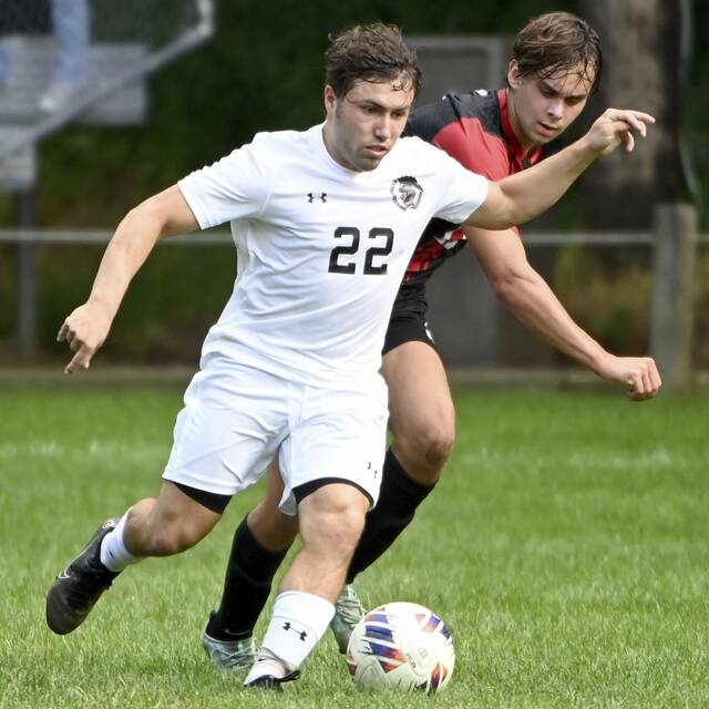 Westmoreland County boys soccer notebook: Scoring duos filling the nets
