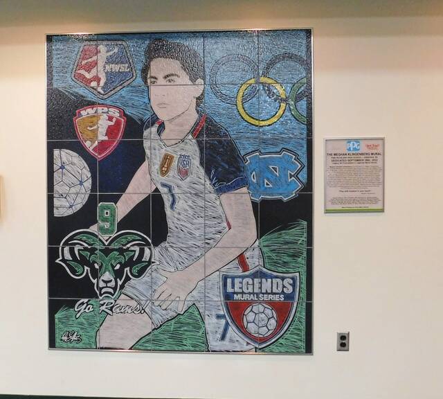 Mural honors Meghan Klingenberg’s place in Pine-Richland history