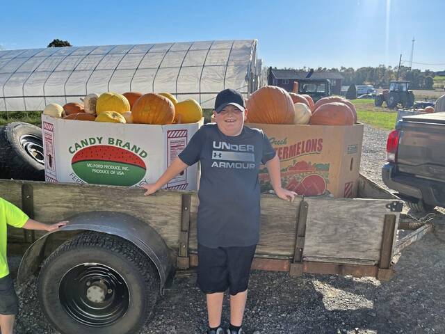5501178_web1_gtr-Hillcrestpumpkinsale