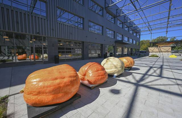 5501237_web1_PTR-MonsterPumkins5-100622