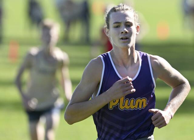Plum runners battle at Section 4 championships