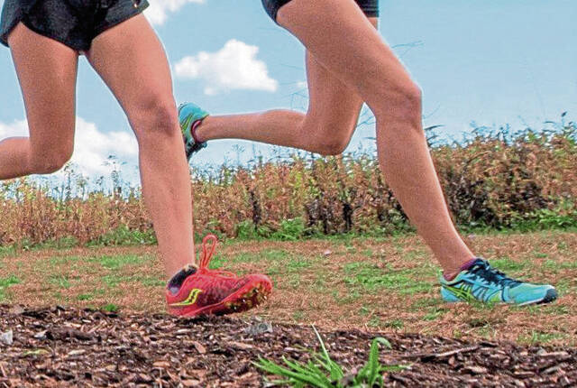 5507878_web1_WEB-runners