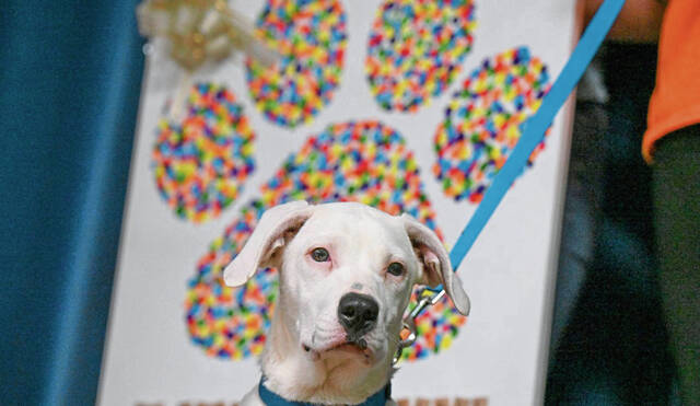 5512502_web1_VND-BerkeyAnimals2-101222