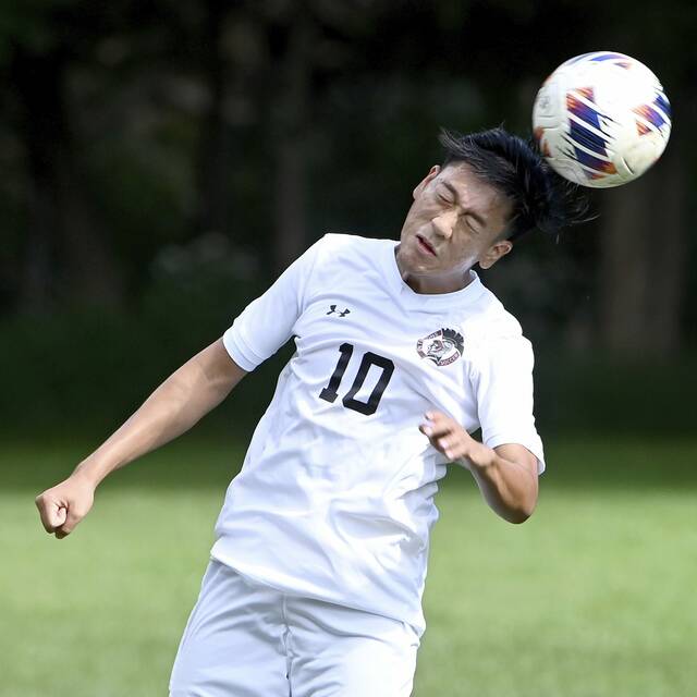 Westmoreland County boys soccer notebook: Teams punch tickets to WPIAL playoffs