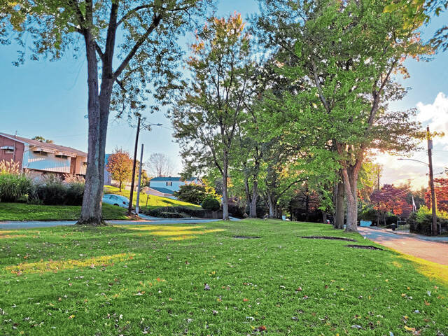 5517061_web1_vnd-newkentrees-102022