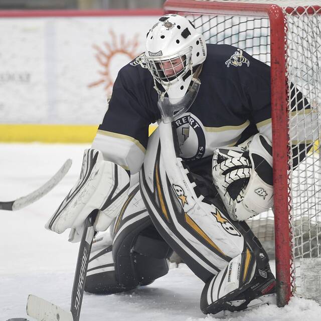 Freeport hockey to lean on large group of underclassmen