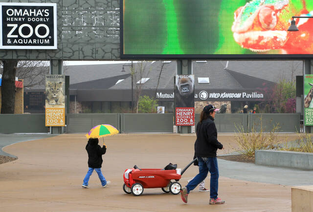 5533077_web1_5533077-55421065351d48fda2389e8a658a5f4f