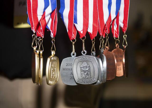 WPIAL board increases to 21 seats with diversity advisory council addition