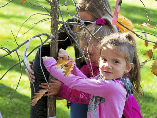 5538595_web1_bp-minersparktrees-102722-1