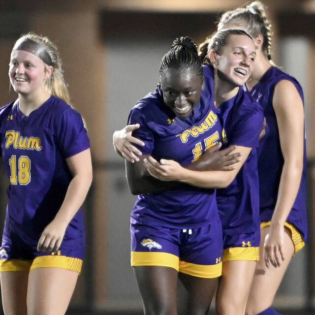 Plum, Springdale among top seeds from A-K Valley focused on 1st-round WPIAL playoff foes