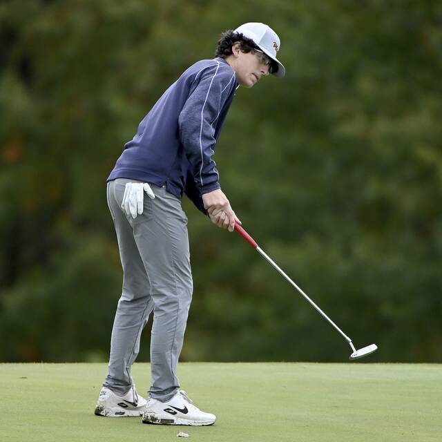 Plum’s Wes Lorish relishes experience at PIAA golf championships