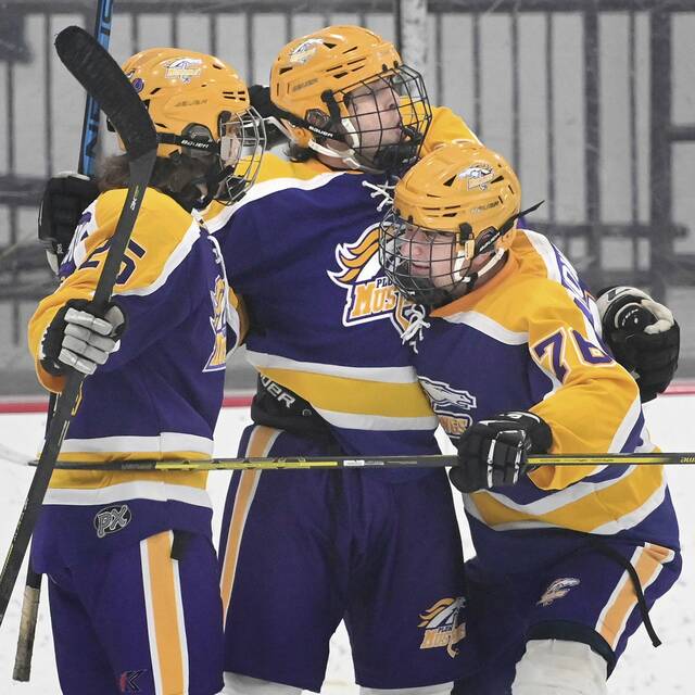 Plum hockey rebounds from tough start, looks ahead to promising season