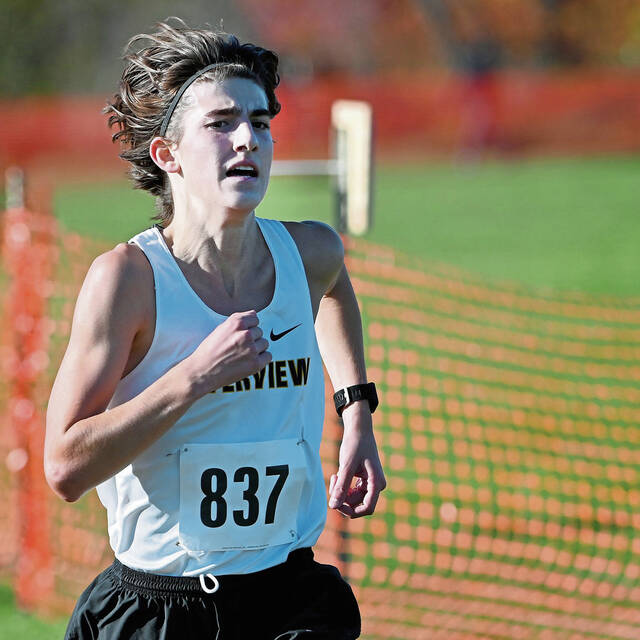 Riverview runners set stage for WPIALs with strong Tri-State showing