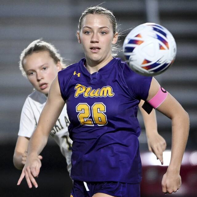 Plum girls soccer team cruises past Kiski Area in first-round playoff game