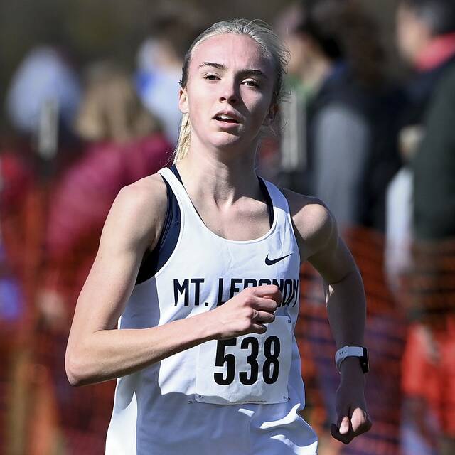 Trio of runners aim to defend titles at WPIAL cross country championships