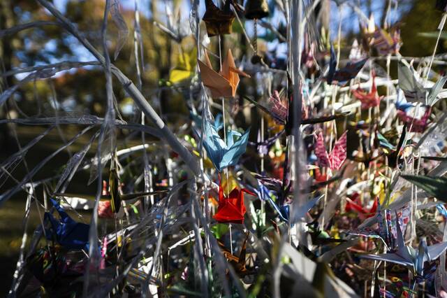 5564319_web1_ptr-TreeofLife4years15-102822