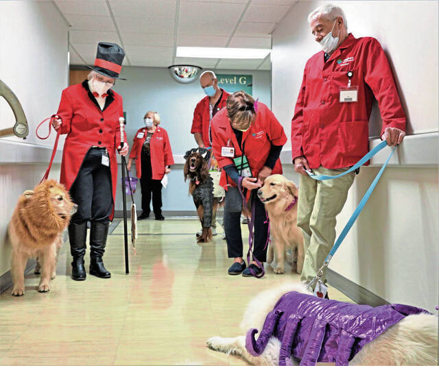 5564911_web1_vnd-lo-DogCostumes2-102822