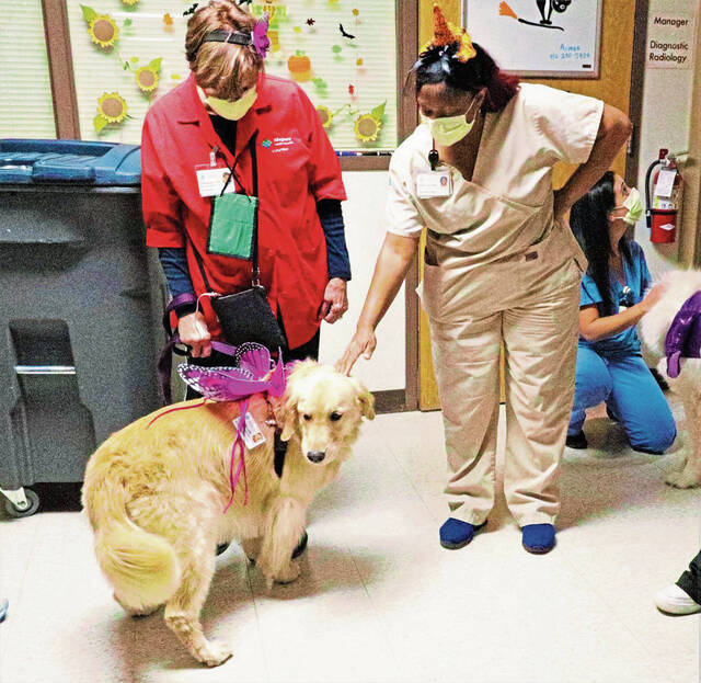 5564911_web1_vnd-lo-DogCostumes5-102822