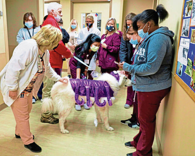 5564911_web1_vnd-lo-DogCostumes6-102822