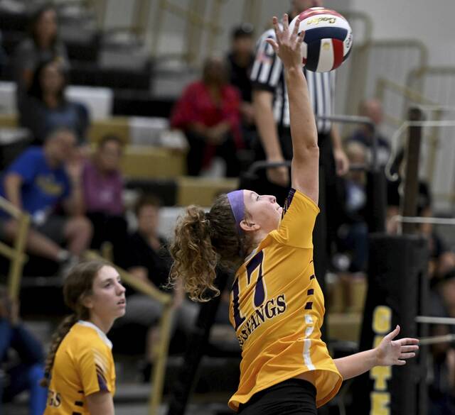Plum’s girls volleyball season concludes in WPIAL playoffs
