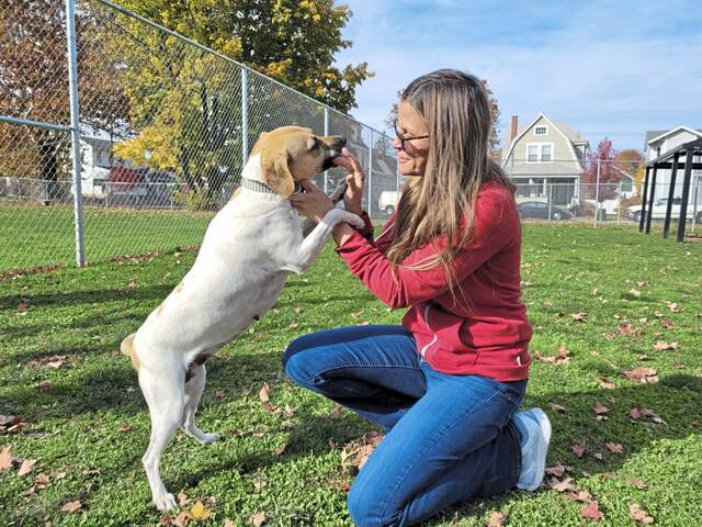 5569555_web1_vnd-texasdogs1-102922