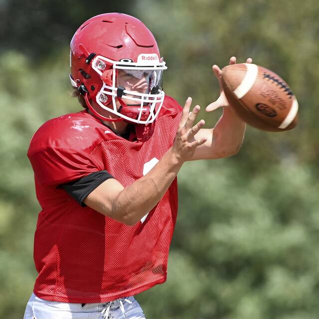 WPIAL Class A football roundup: Matt Sieg runs for 363 yards, 6 TDs in Fort Cherry win