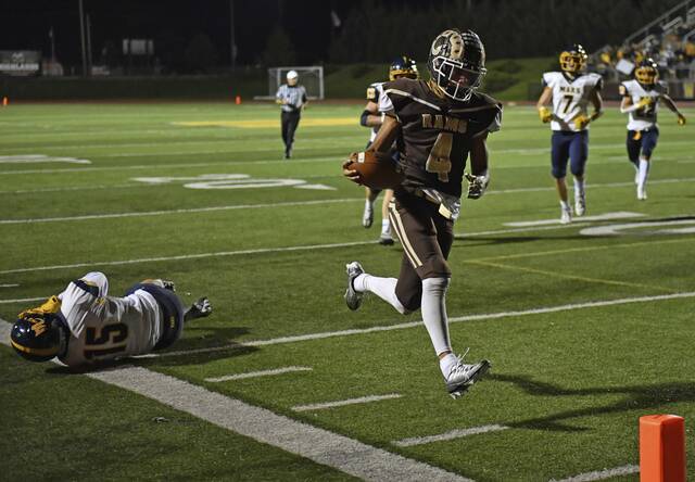 Birdie counts down highlights of season, makes A-K Valley playoff picks