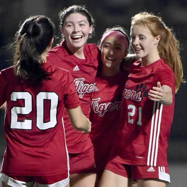 No. 2 Moon blanks No. 3 Plum in Class 3A girls soccer semifinals