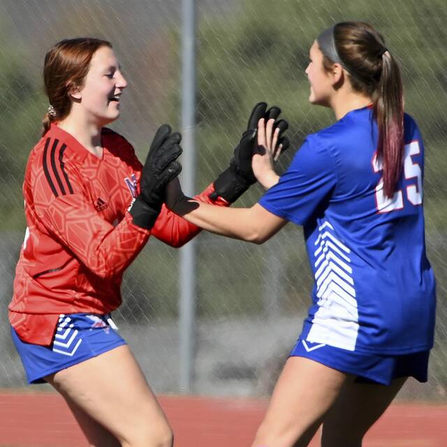 Defense to provide backbone for high-scoring Mt. Pleasant in WPIAL girls soccer finals vs. Avonworth