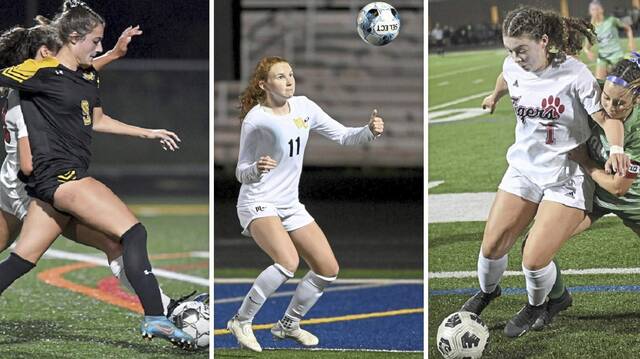 3 finalists announced for Moe Rosensteel Award