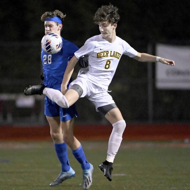 Deer Lakes carries growing confidence into WPIAL finals matchup with Beaver