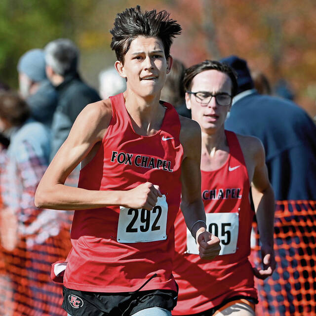 Young roster provides plenty of highlights for Fox Chapel cross country team