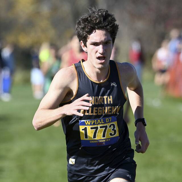 New cast of characters earns more championship gold for North Allegheny cross country