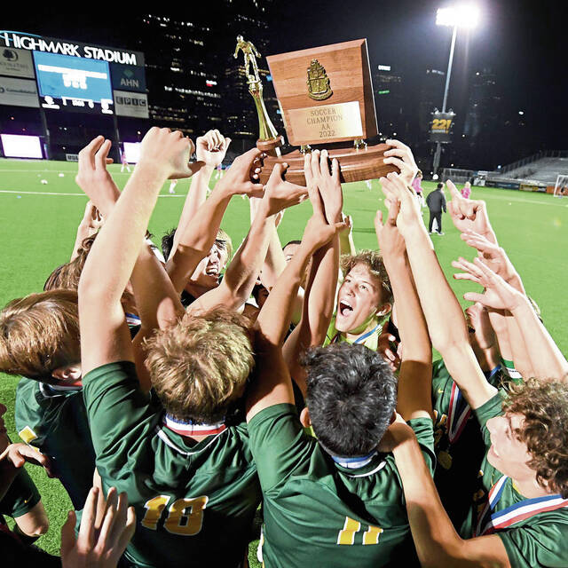 Freshman connection leads Deer Lakes to WPIAL Class 2A soccer championship