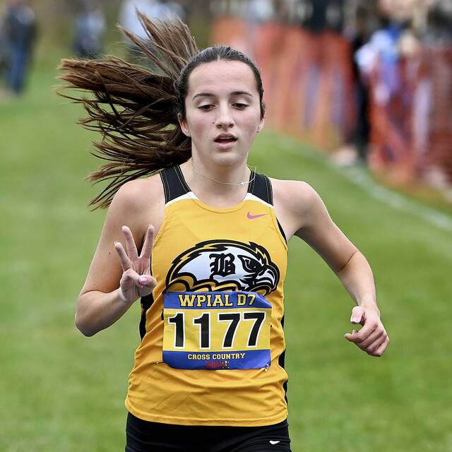 Brownsville’s Jolena Quarzo, Pine-Richland’s Natalie McLean win PIAA cross country gold
