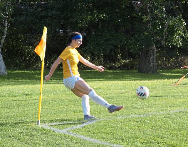 5601594_web1_gtr-UPGsoccer-101222