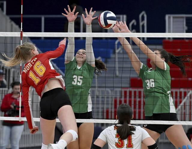 WPIAL volleyball teams learn pairings for PIAA playoffs