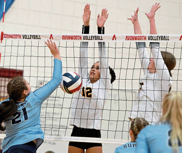 State playoff berth caps solid season for Quaker Valley girls volleyball