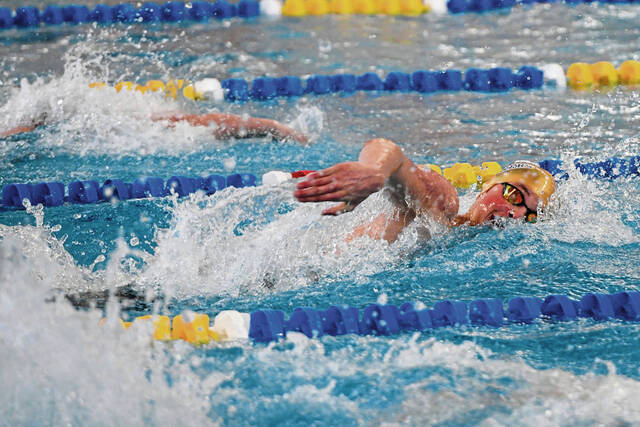 Alle-Kiski Valley athletes join in national signing day