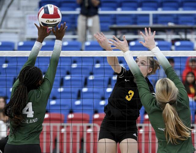 North Allegheny notebook: NA volleyball rebounds from finals loss