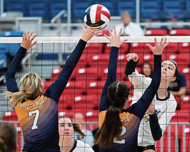 Freeport volleyball team prepares for state semifinal matchup