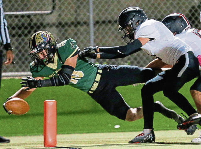 Birdie runs advance scouting mission for Belle Vernon, makes semifinal pick