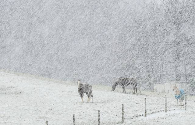 5631223_web1_VND-FirstSnow900-111622