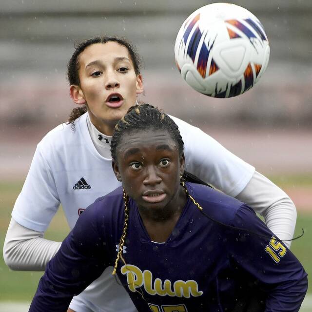 After 4 years of success, Plum senior soccer players cap careers in PIAA playoffs