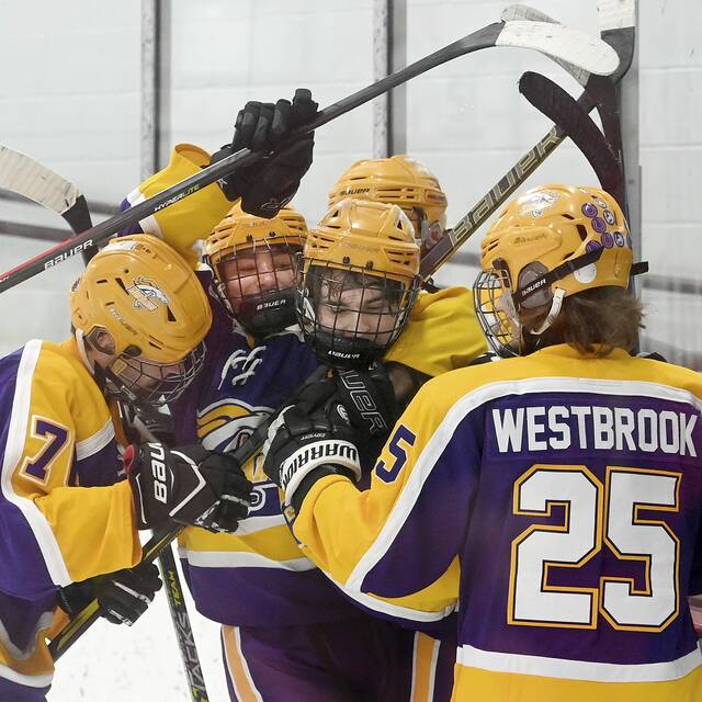 PIHL standings through Nov. 20, 2022