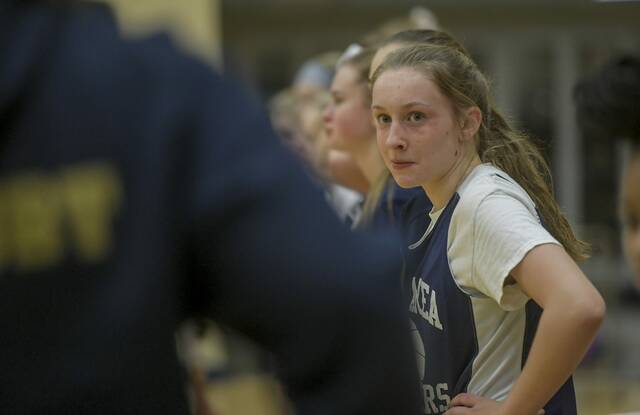 New Kiski Area girls coach foresees ‘formidable team’