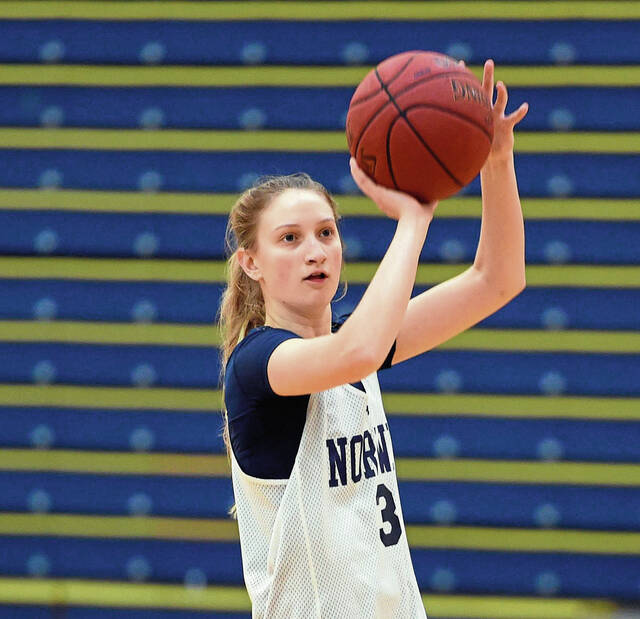 Norwin notebook: Graduates making impact on women’s college hardwood