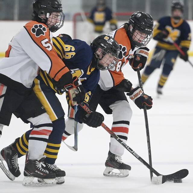 PIHL standings through Nov. 27, 2022